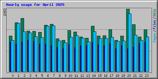 Hourly usage for April 2025